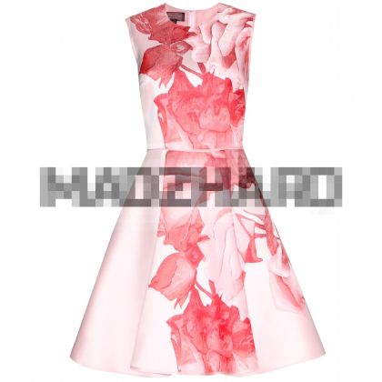 Balza Rose printed dress