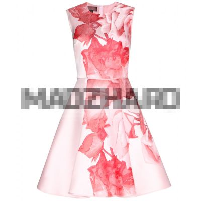 Balza Rose printed dress